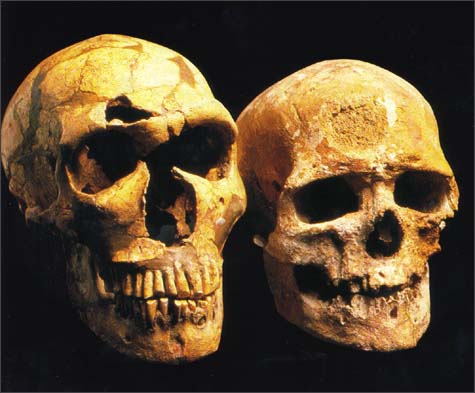 Neanderthal - Cro-Magnon