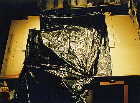 Covering with Garbage Bags
